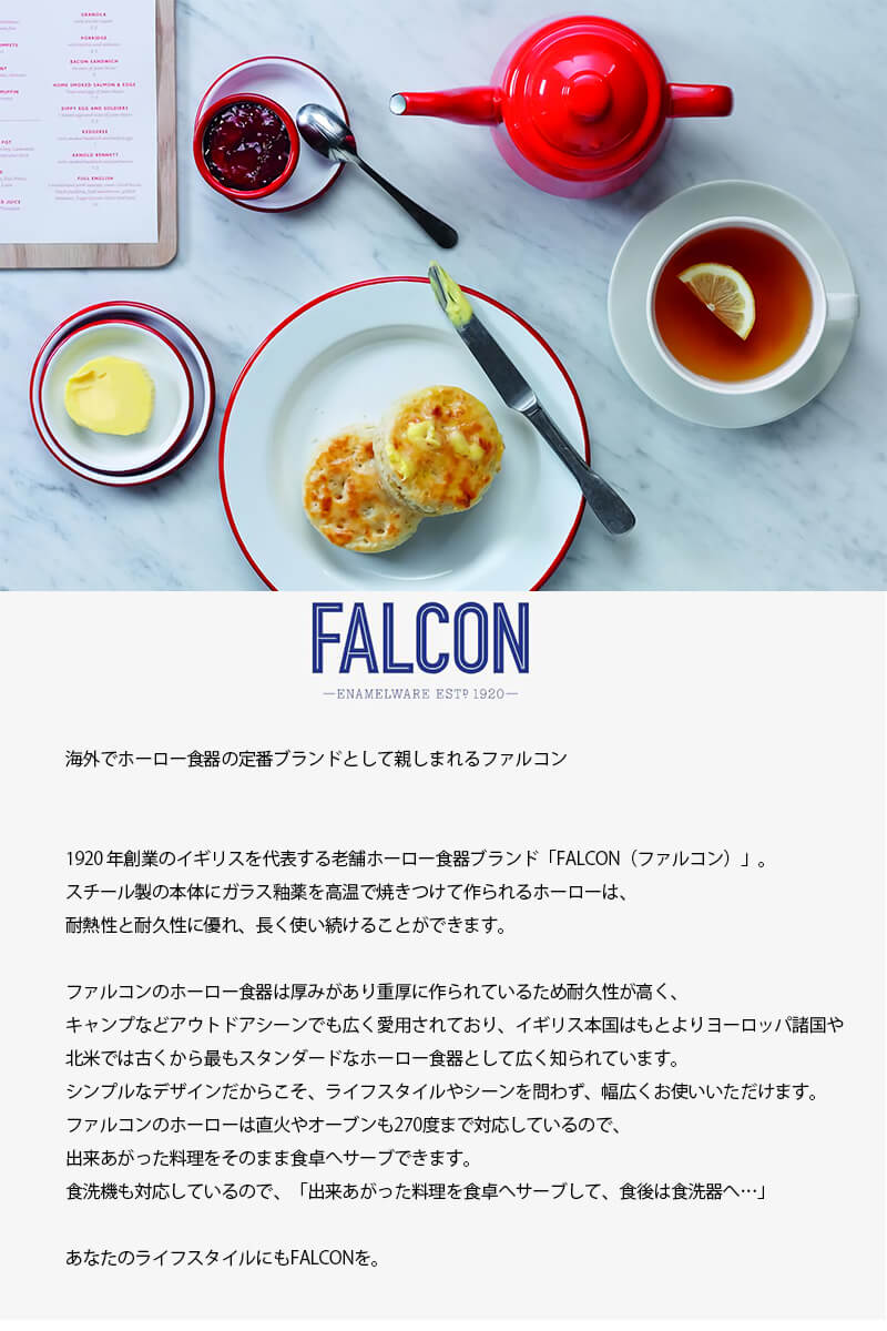 FALCON ファルコン ホーロー プレートセット 直径24cm 4枚セット